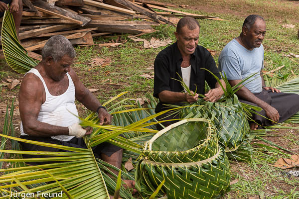 Men from different villages of Macuata Province. Their clan are designated to prepare food and considered the kitchen staff Tui Macuata’s household. These woven coconut leaves are made into baskets called “ketekete”. These are baskets for cooked food that comes hot straight from the “lovo” for serving presentation.