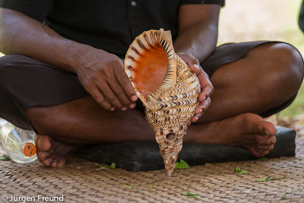 Davui - the conch shell trumpet.