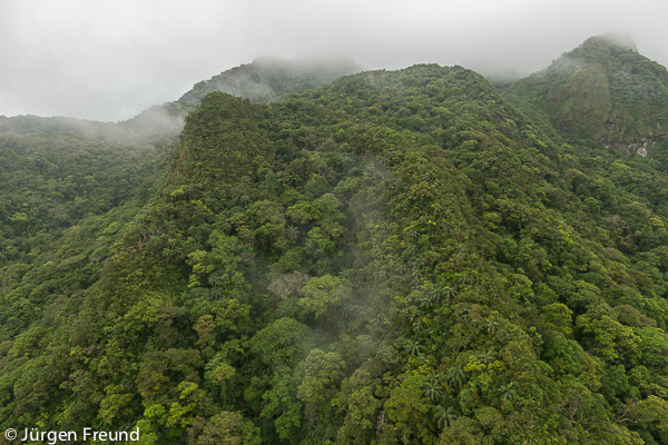 Mountain range of the Northern Division, Vanua Levu.